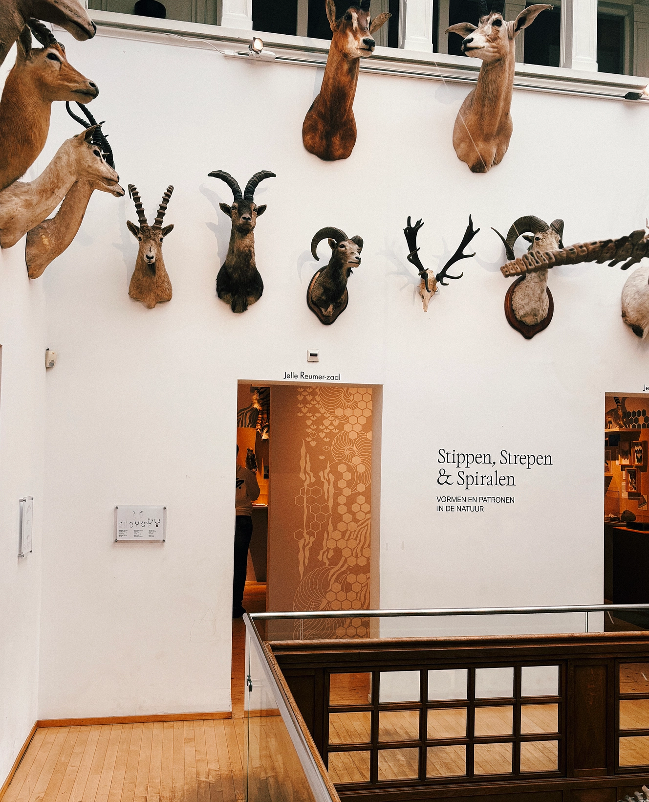 De nieuwste expositie Stippen, Strepen & Spiralen. Een mooie plek vol Strokes & Dots ;-)