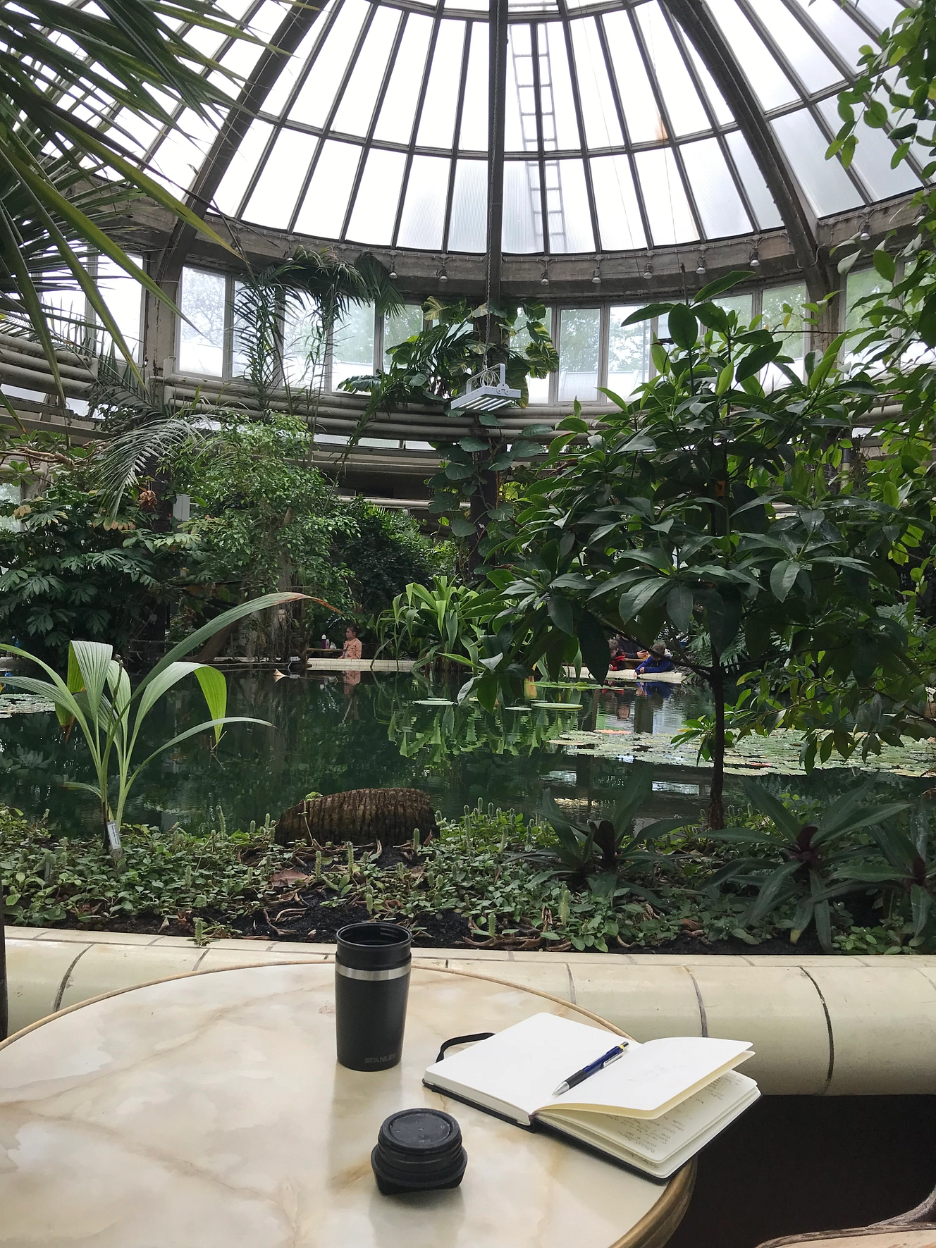 Vogels schetsen in de Victoria serre, Rotterdam