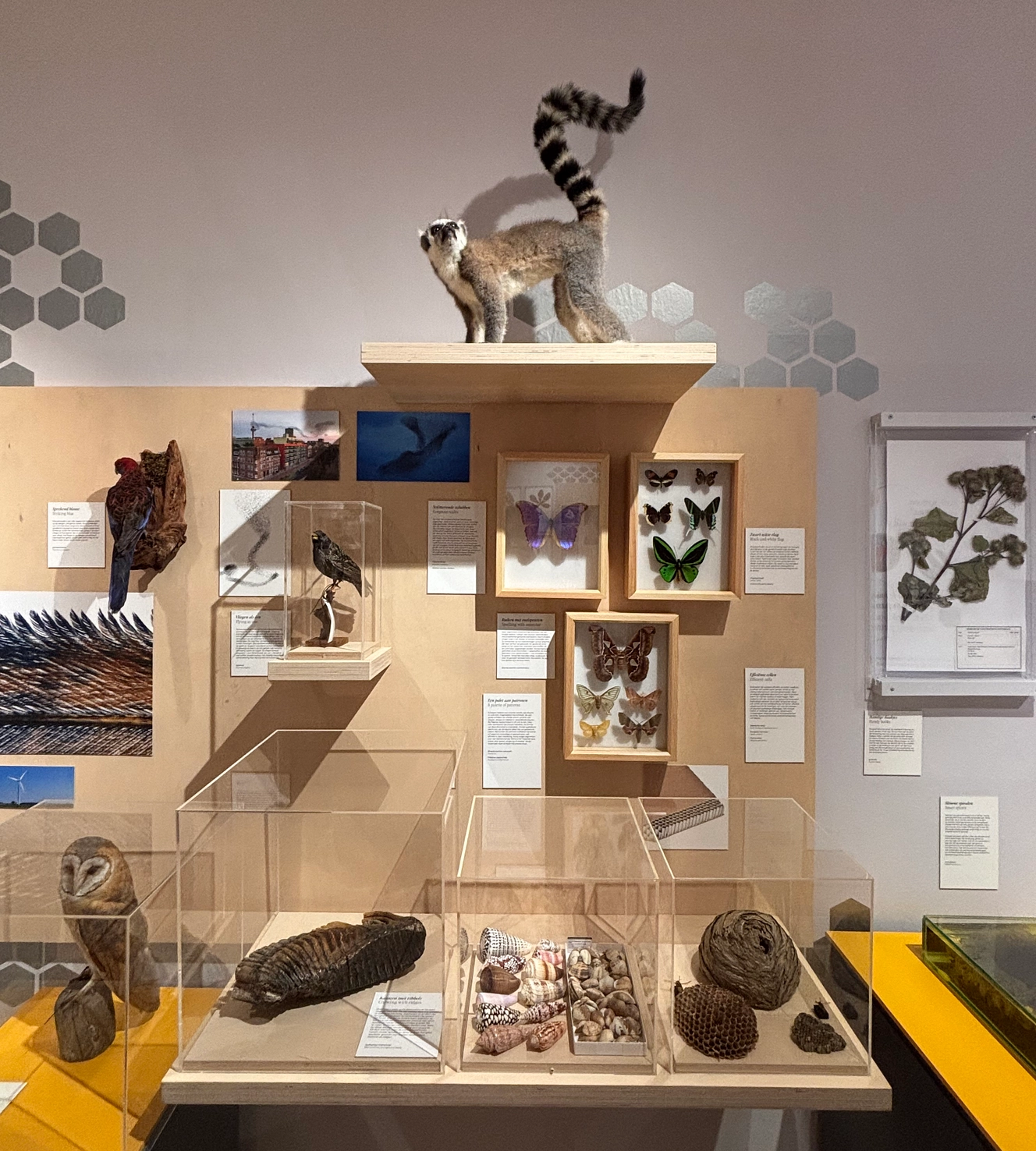 De nieuwste expositie Stippen, Strepen & Spiralen. Een mooie plek vol Strokes & Dots ;-)