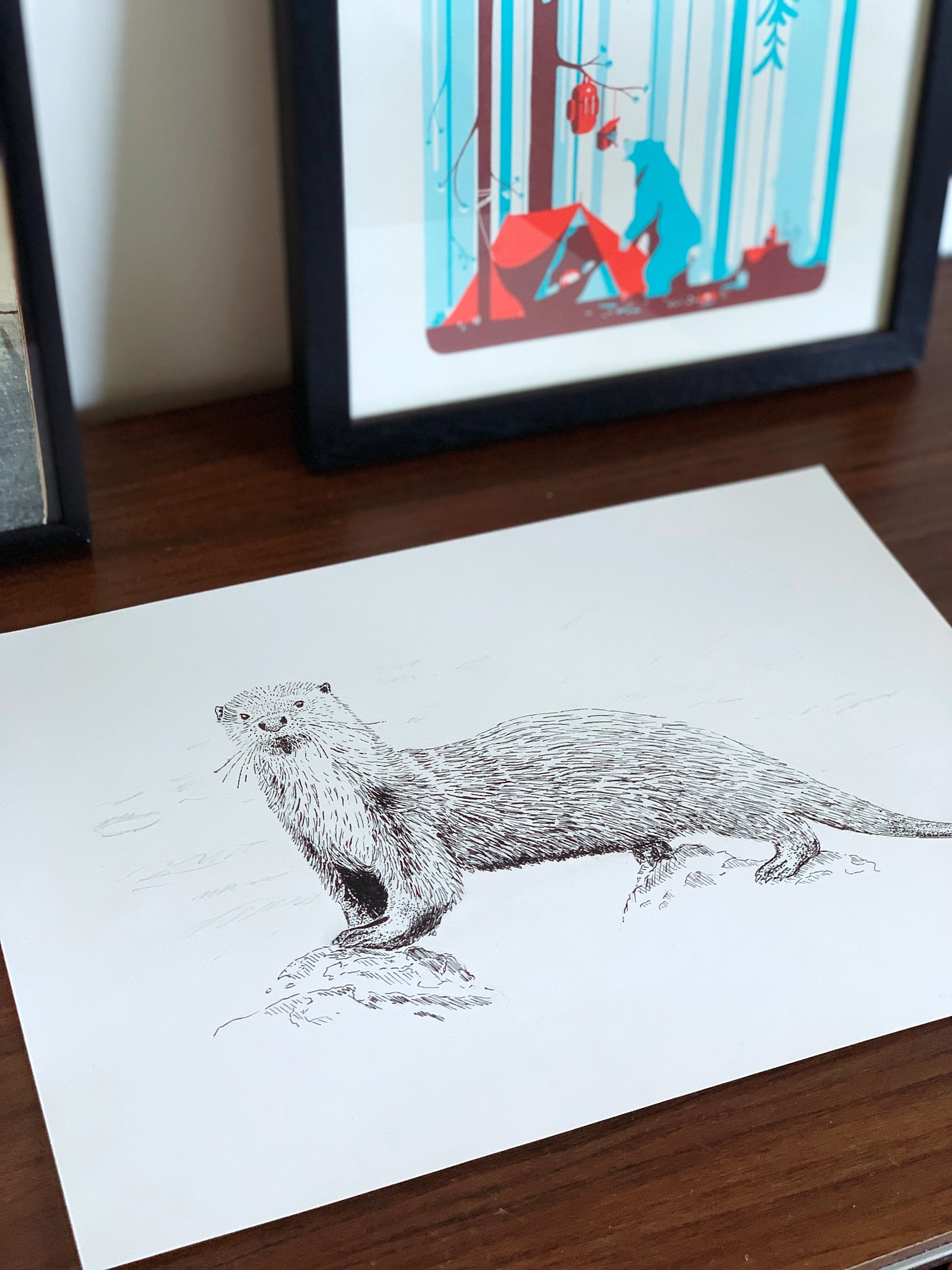Europese Otter, A4, Micron 01