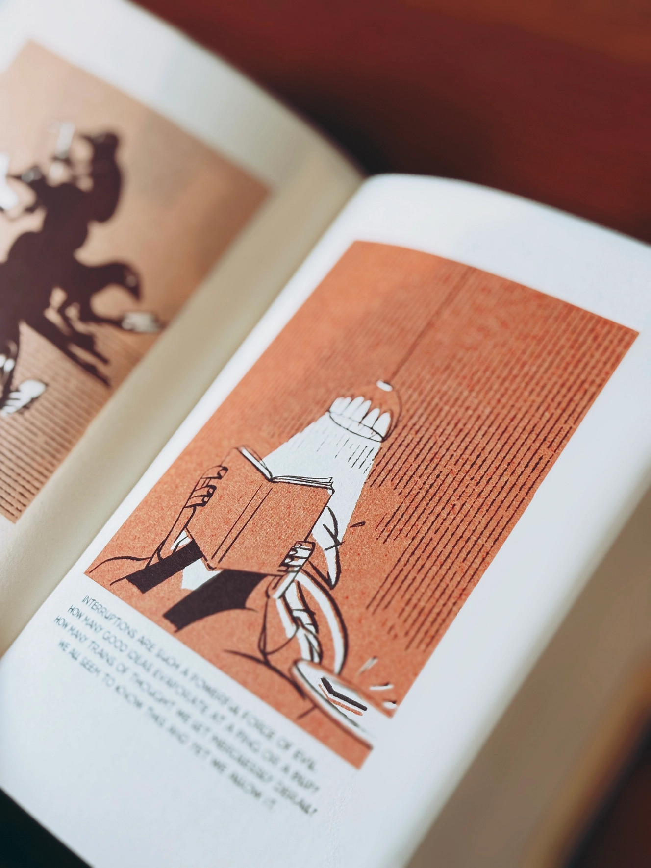 Luis Mendo's prachtige werk